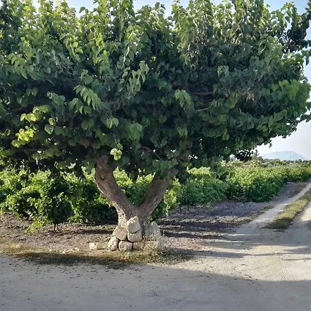 Διαμέρισμα Residenza Al Gelso *