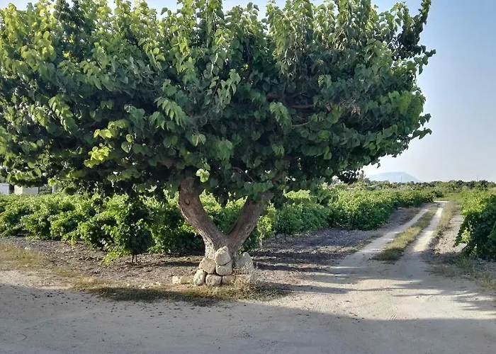 Διαμέρισμα Residenza Al Gelso *